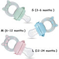 Amazon Baby Fresh Fruit Food Feeder 2 Pack Gray Nibbler Pacifier New Born Baby Silicone Feeder For Babies
